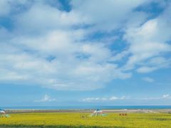 -青海湖国家重点风景名胜区
