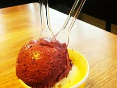 草莓苹果雪芭-Patagonia Chocolates(皇后镇店)