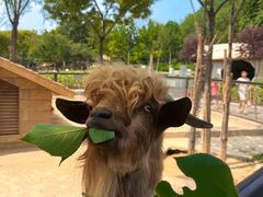 -石家庄市动物园