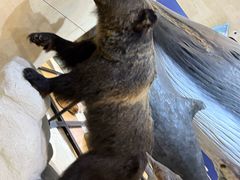 -国家自然博物馆