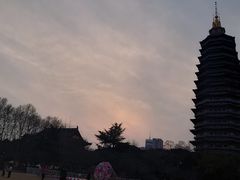 -听松楼·花园酒店·自助餐厅(红梅公园店)