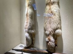 -迪庆藏族自治州博物馆