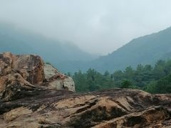 -广州白江湖森林公园