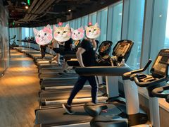 -威尔仕健身(虹桥南丰城店)