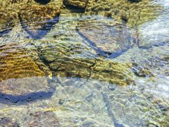 -北仑森林植物园