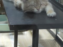 -中粮万科长阳半岛