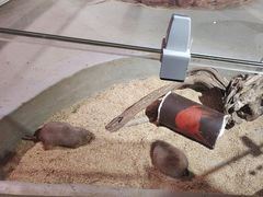 -正佳雨林生态植物园
