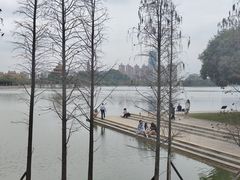-顺峰山公园
