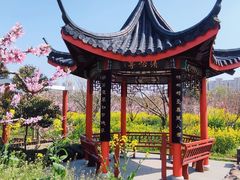 -南汇桃花村
