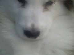 -第四军医大学西京医院·体检二部