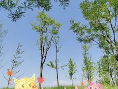 -东郊湿地公园