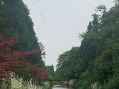 -崇明东平国家森林公园烧烤房车露营地