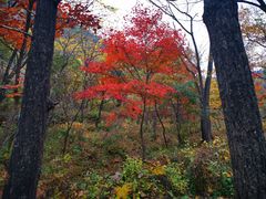 -玉渡山自然风景区