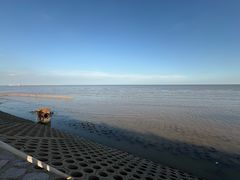 -碧海金沙