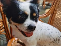 -呼吸森林·生态农庄农家乐私房菜