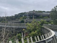 -福道
