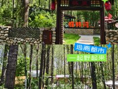 -林间山庄