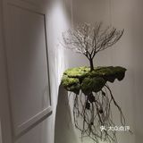 沈阳探店|眼灸头疗必去太和欢喜！！
