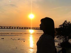 -宝安西湾红树林湿地公园