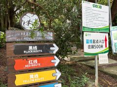 -芦仙山景区-飞越丛林探险乐园