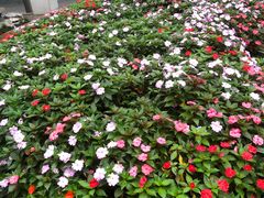 -聚福宝合苑食府(南头镇店)