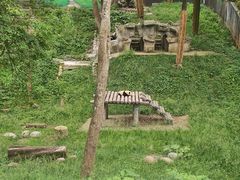 -中国大熊猫保护研究中心雅安碧峰峡基地