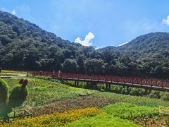 -广州市石门国家森林公园