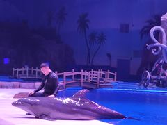 -华夏文旅海洋公园