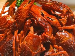 -同福龙虾(高新店)