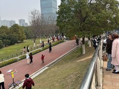 -艾溪湖湿地公园
