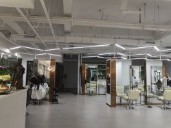 -蚂蚁造型沙龙