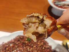 -觀芷隐轩