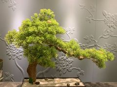 -华夏良子·足道SPA艾灸(铁道大厦店)