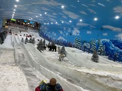 -世界之窗阿尔卑斯冰雪世界