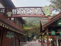 -野象谷景区
