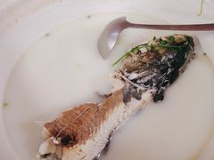 -紫藤园·天目湖大鱼头(南山竹海店)