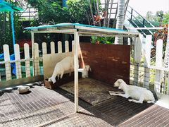 -观澜湖生态运动公社
