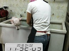 -惠宾花鸟宠物店