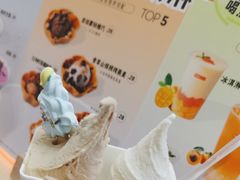 -野人先生现做冰淇淋(北京环宇荟店)