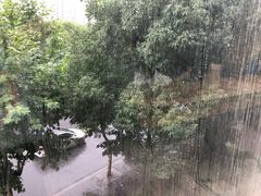 -星巴克臻选(湖滨道店)