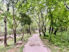 -玉渡山自然风景区