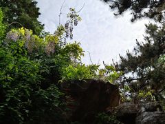 -玲珑塔公园
