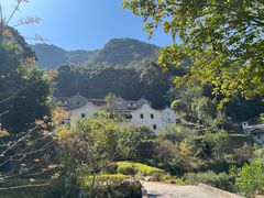 -雁南飞茶田景区