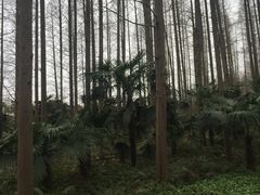 -上海怡沁园度假酒店
