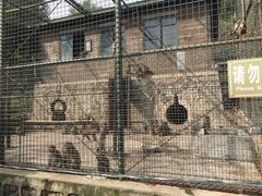 -南京金牛湖风景区