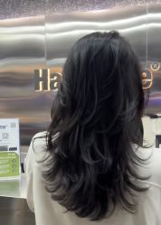 -Hair Code芭曲发型