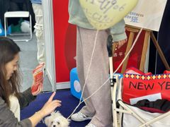 -东浩兰生上海世博展览馆