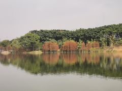 -海珠湖公园