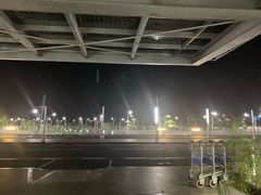 -西沃古尔·拉姆古兰爵士国际机场