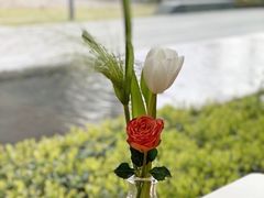 -青麦家·融合餐厅(江岛智立方店)